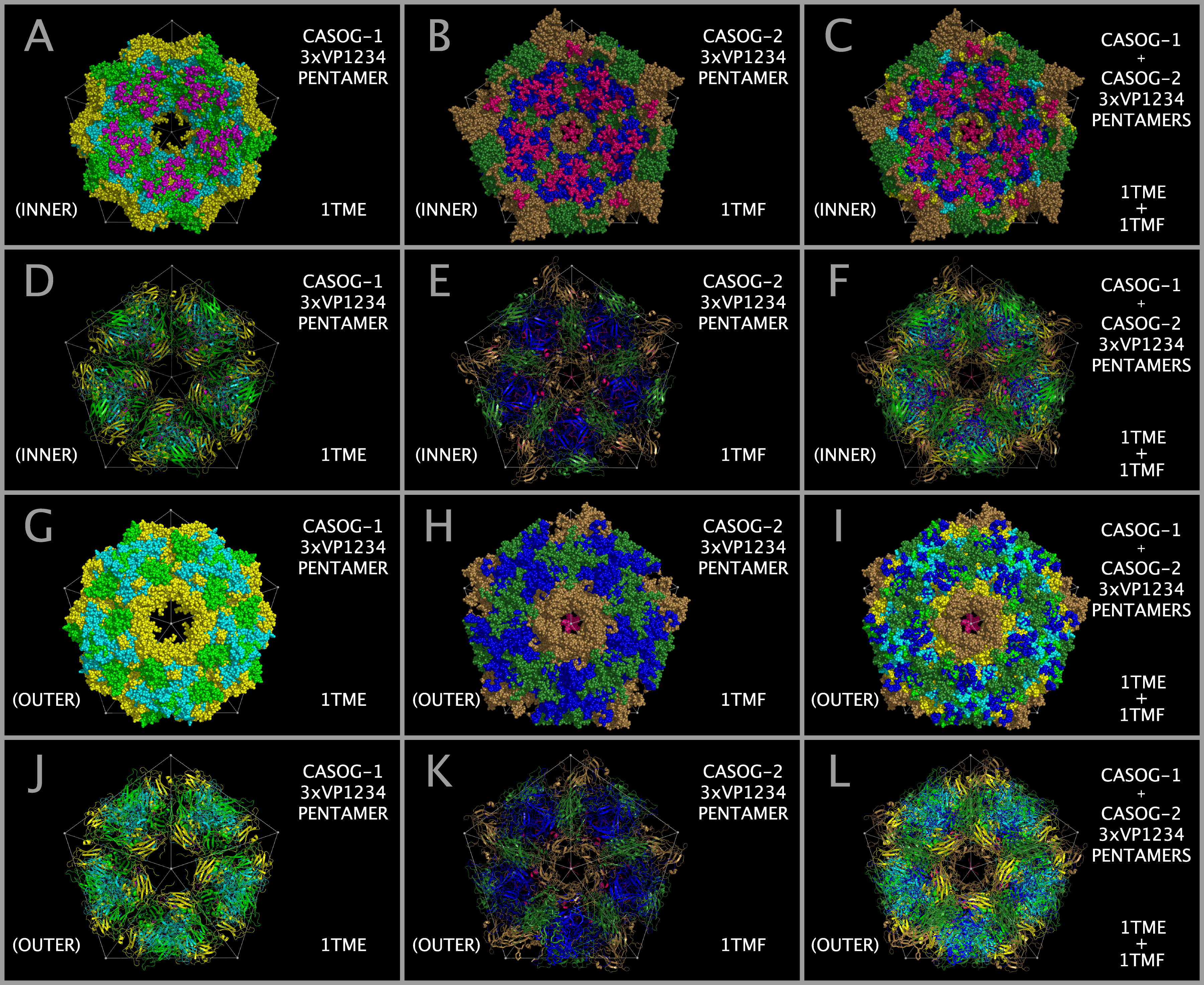Comparison of constructed CASOG-1 and CASOG-2 picornavirus capsid tiling piece pentamers