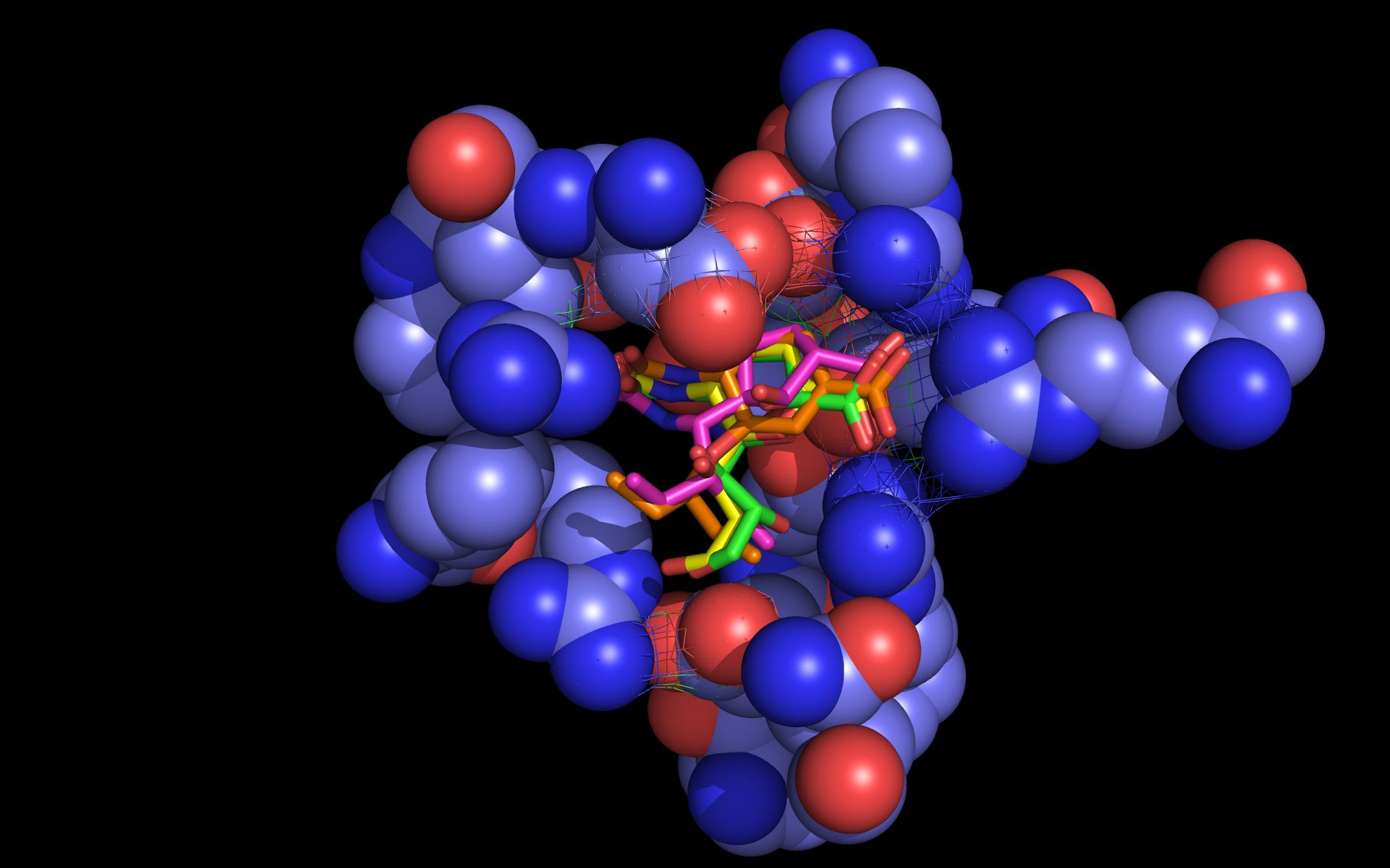 consensus neuraminidase binding site