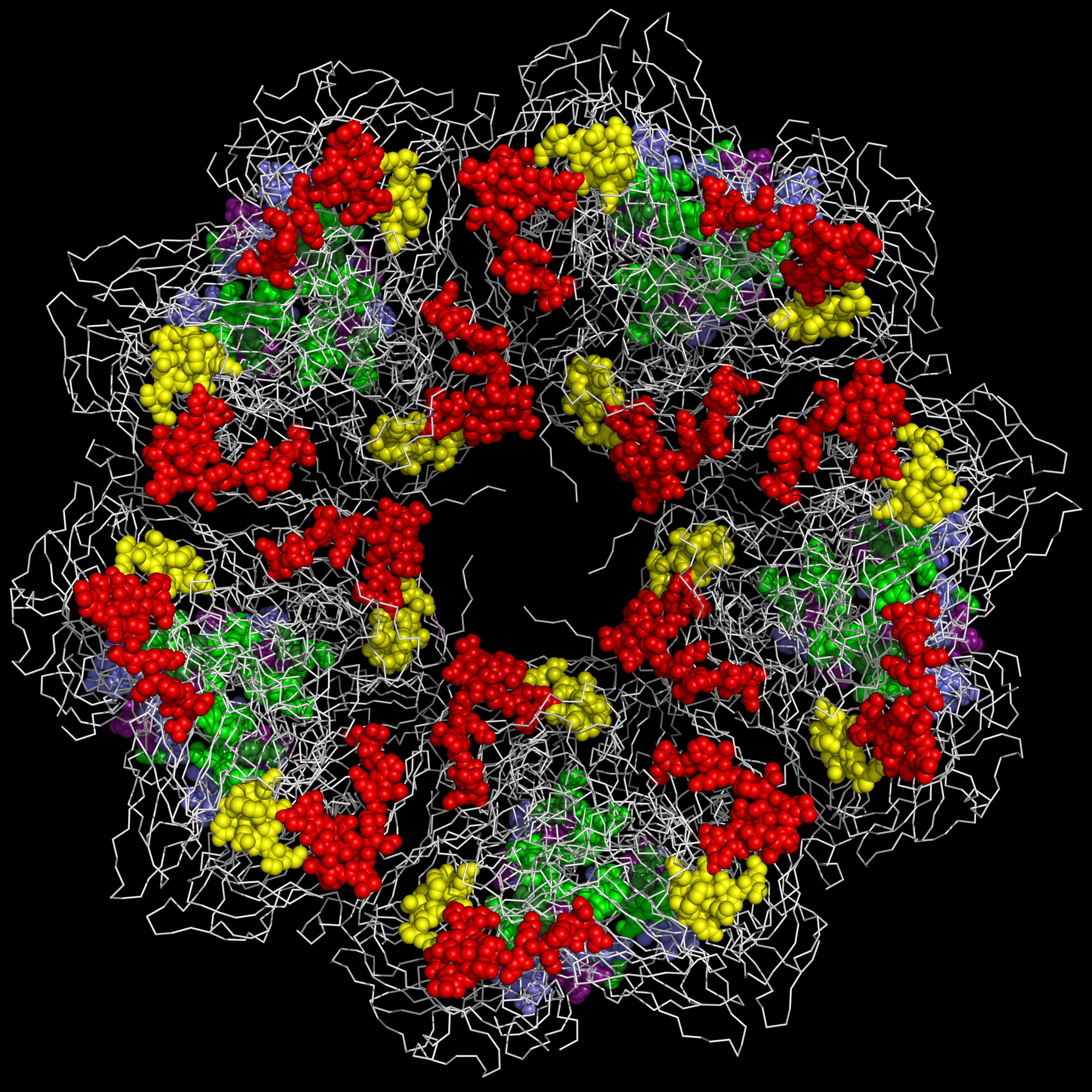 1TME capsid pentamer inside