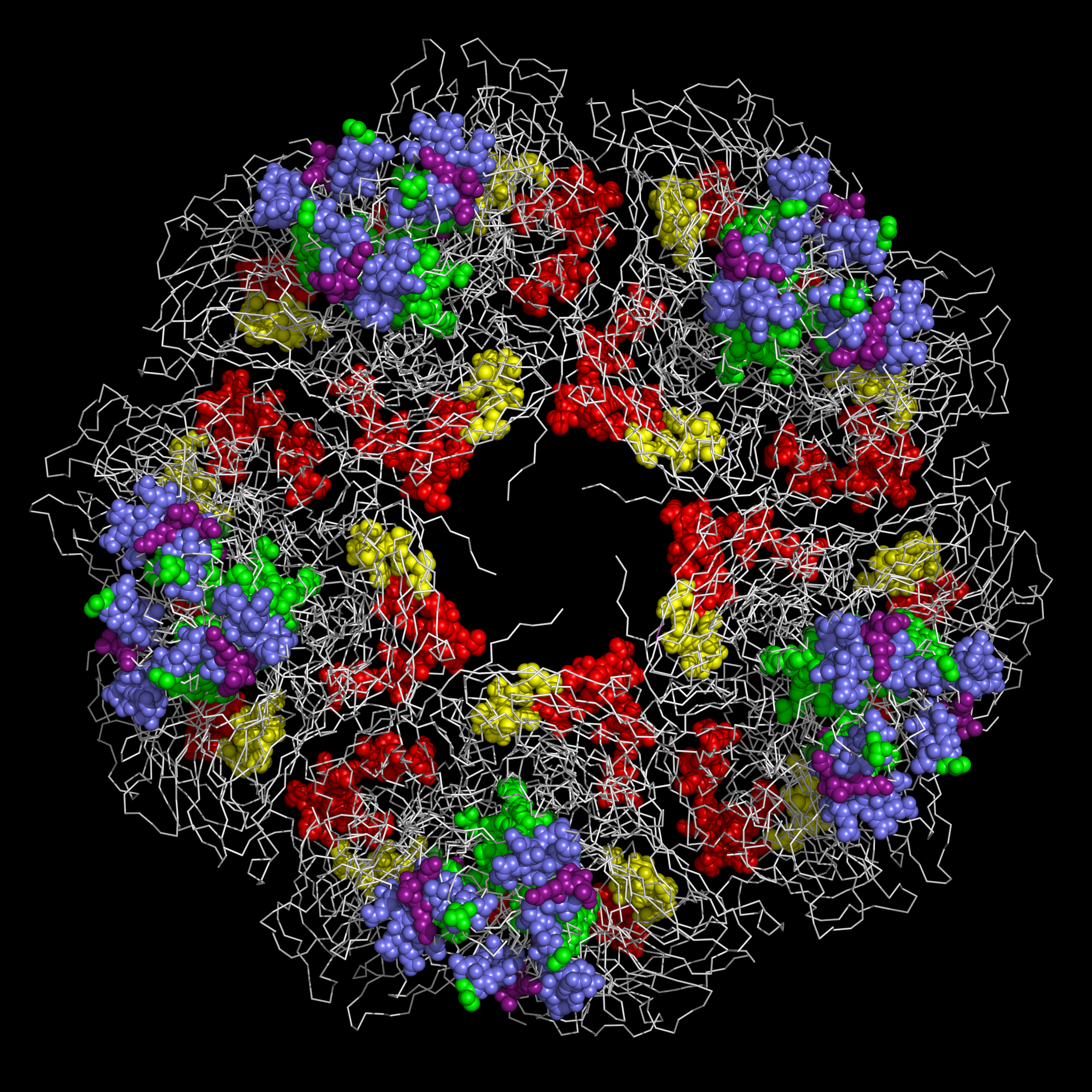 1TME capsid pentamer outside