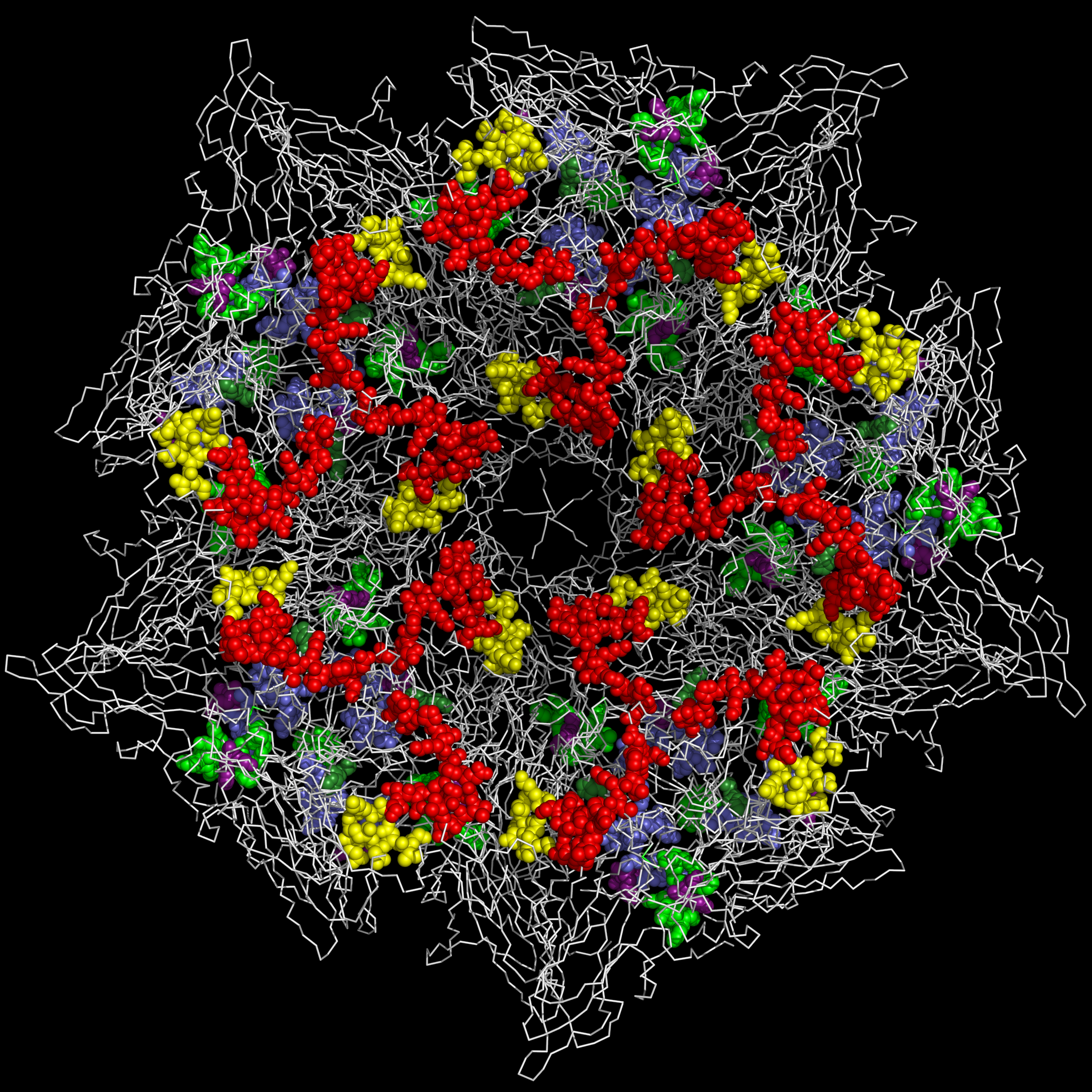 1TMF capsid pentamer inside