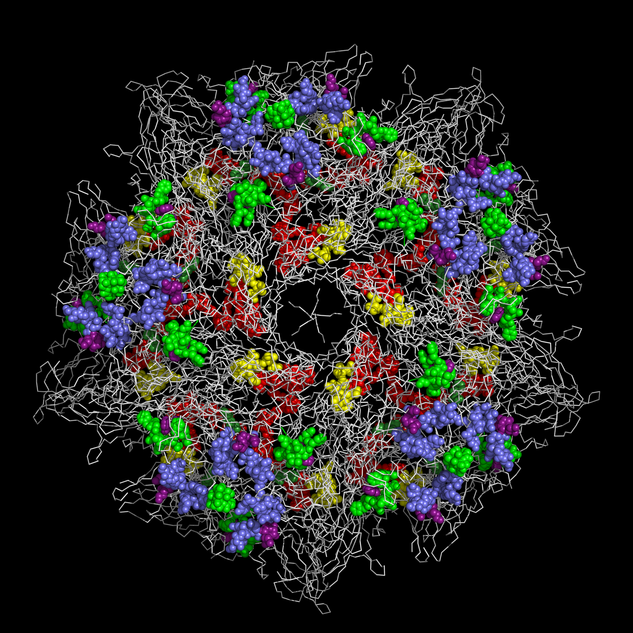 1TMF capsid pentamer outside