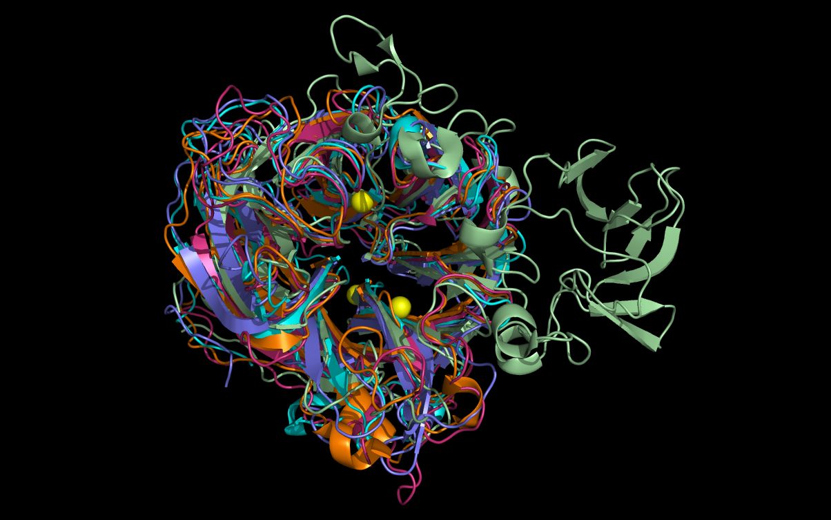 aligning neuraminidase structures and substructures
