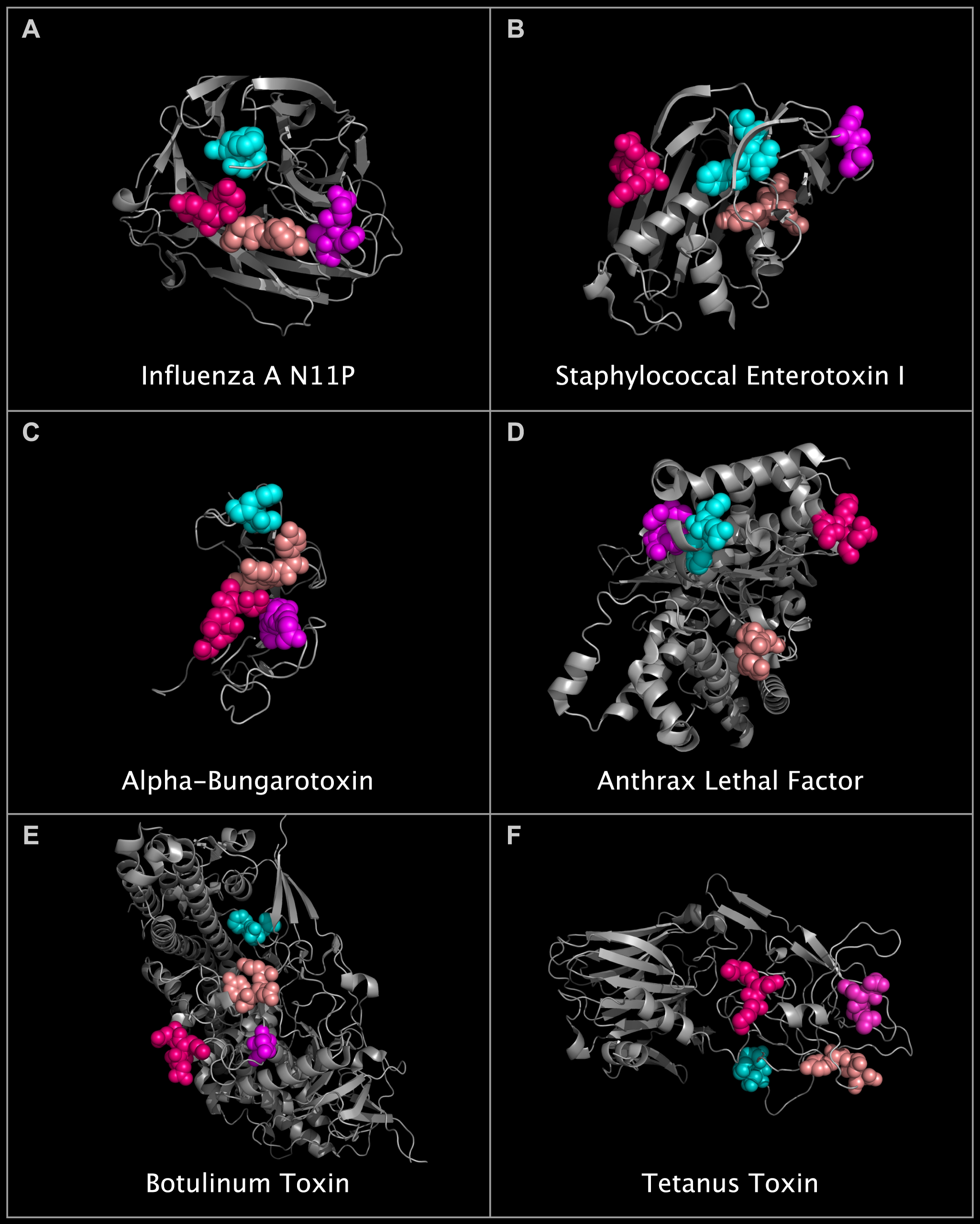 superposed N6N, N10P, N11P, and IBN sialidases