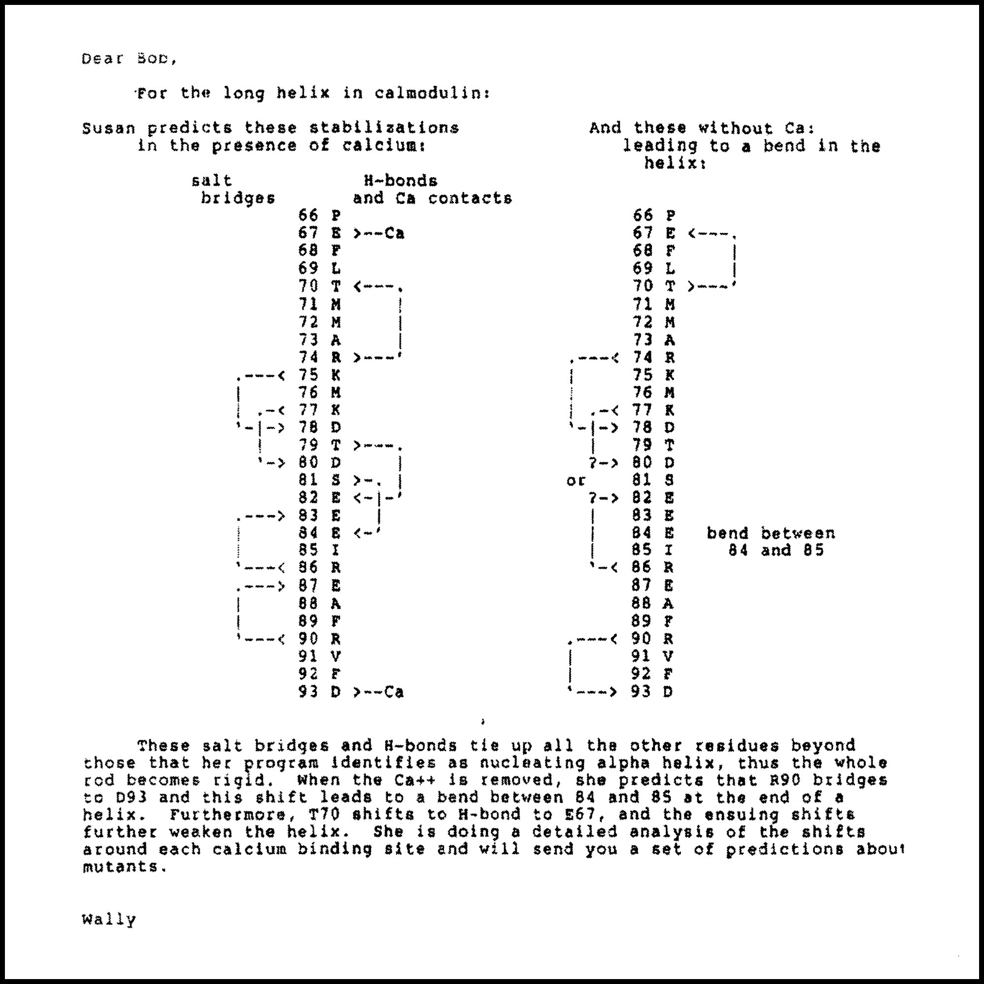 Calmodulin documents