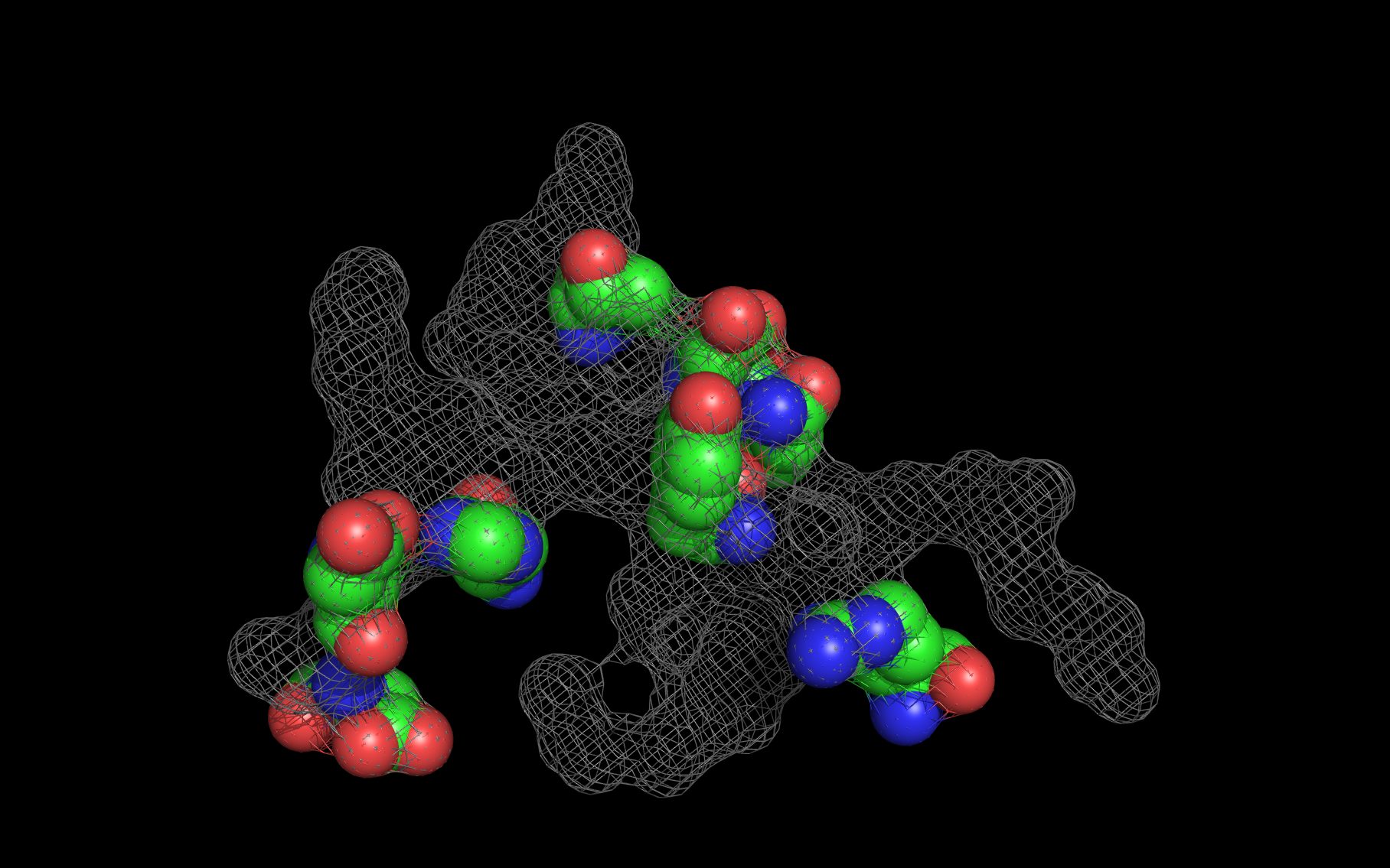Ag-Ab interface: basiliximab/IL-2