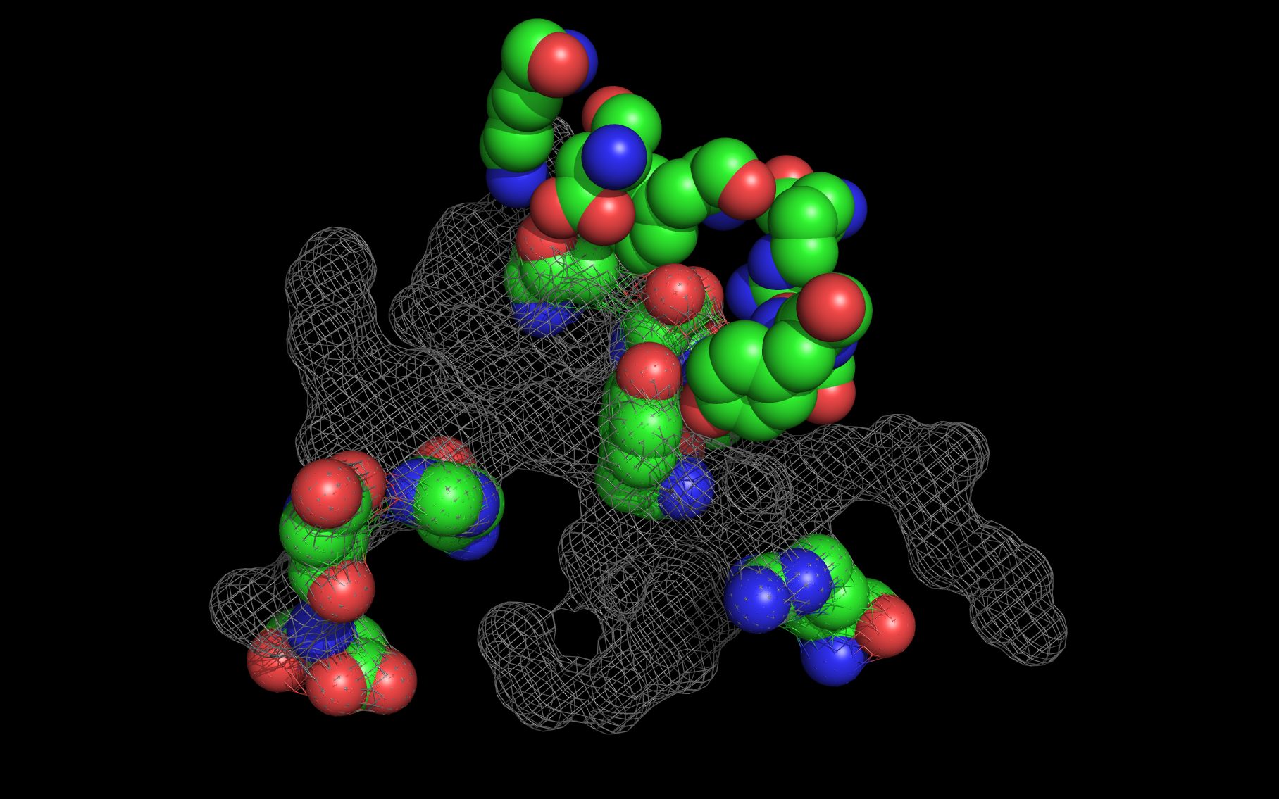Basiliximab9