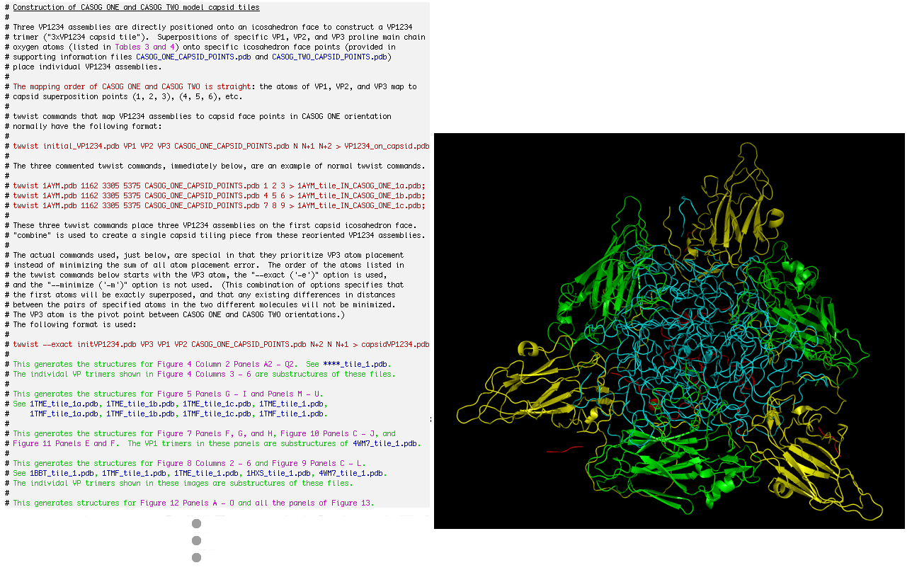 Creating Model Picornavirus Capsid Tiles from three VP1234
