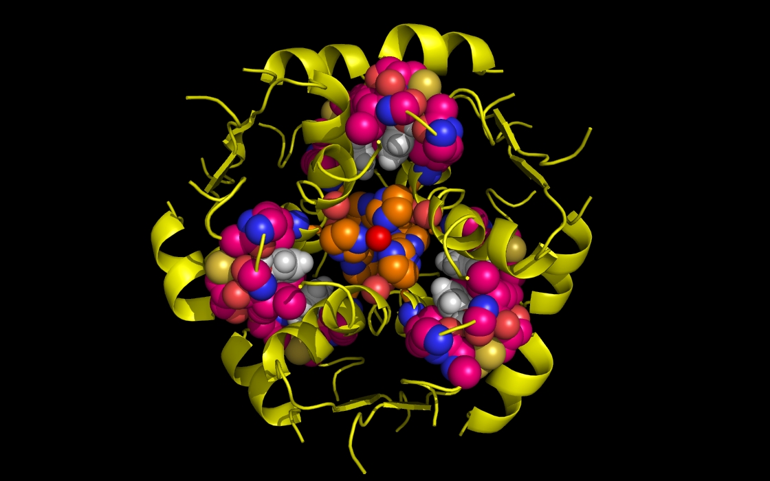 insulin to Zn and phenol <= 3.5 Angstroms