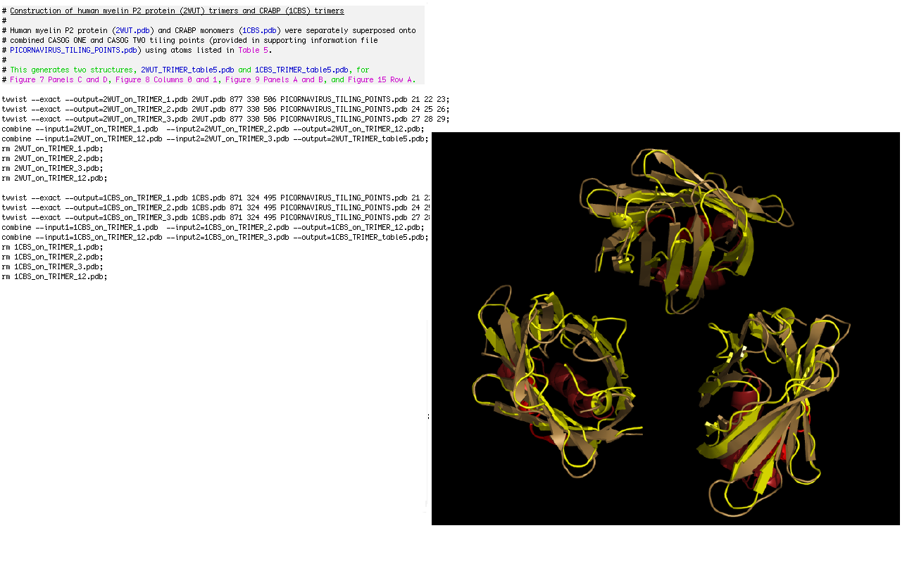 Creating Myelin P2 and CRAB Trimers