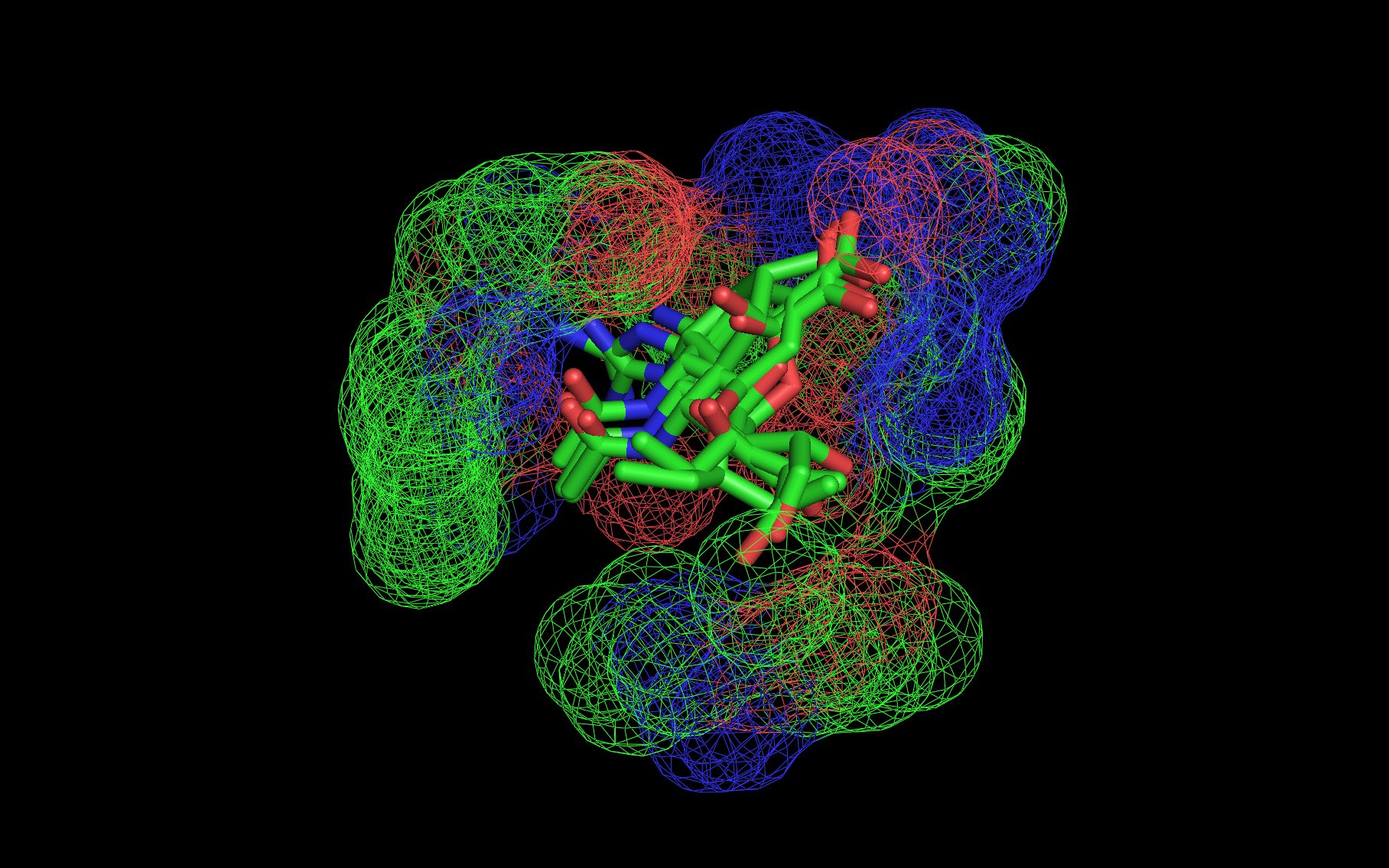Neuramindase Case Study13