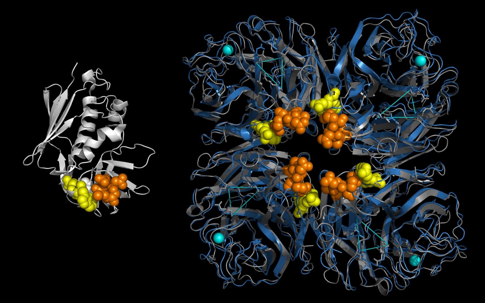 Weininger 2015 neuraminidase paper