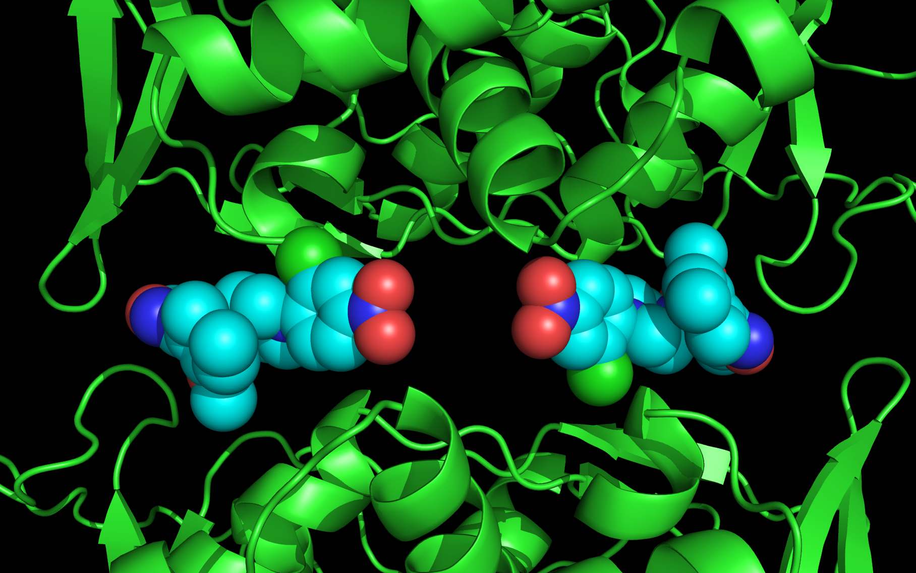 nucleoprotein binding site