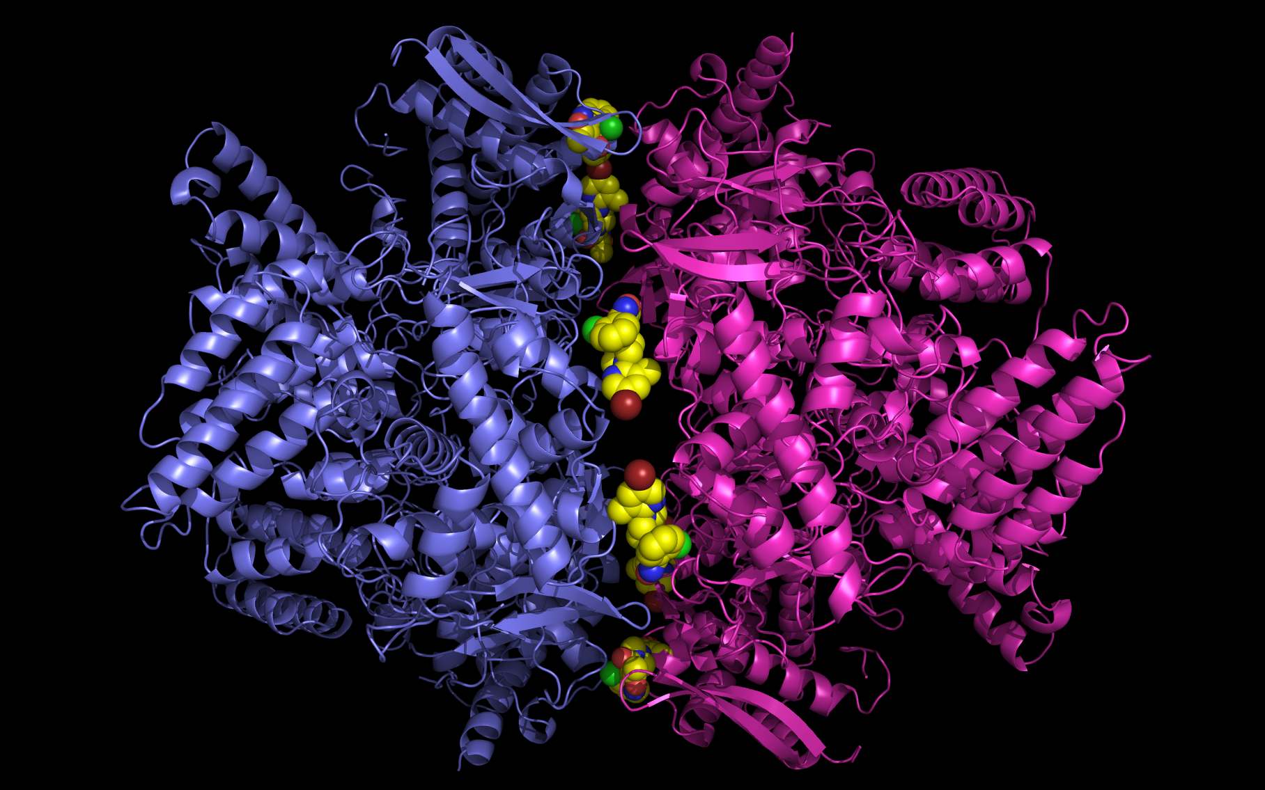 compounds in alternative NP binding sites between trimers