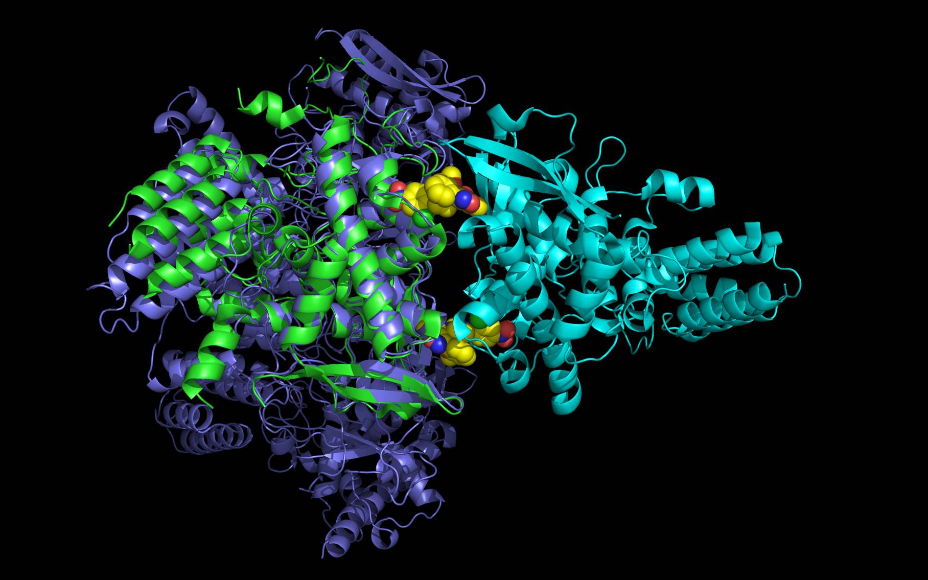 npalt2
