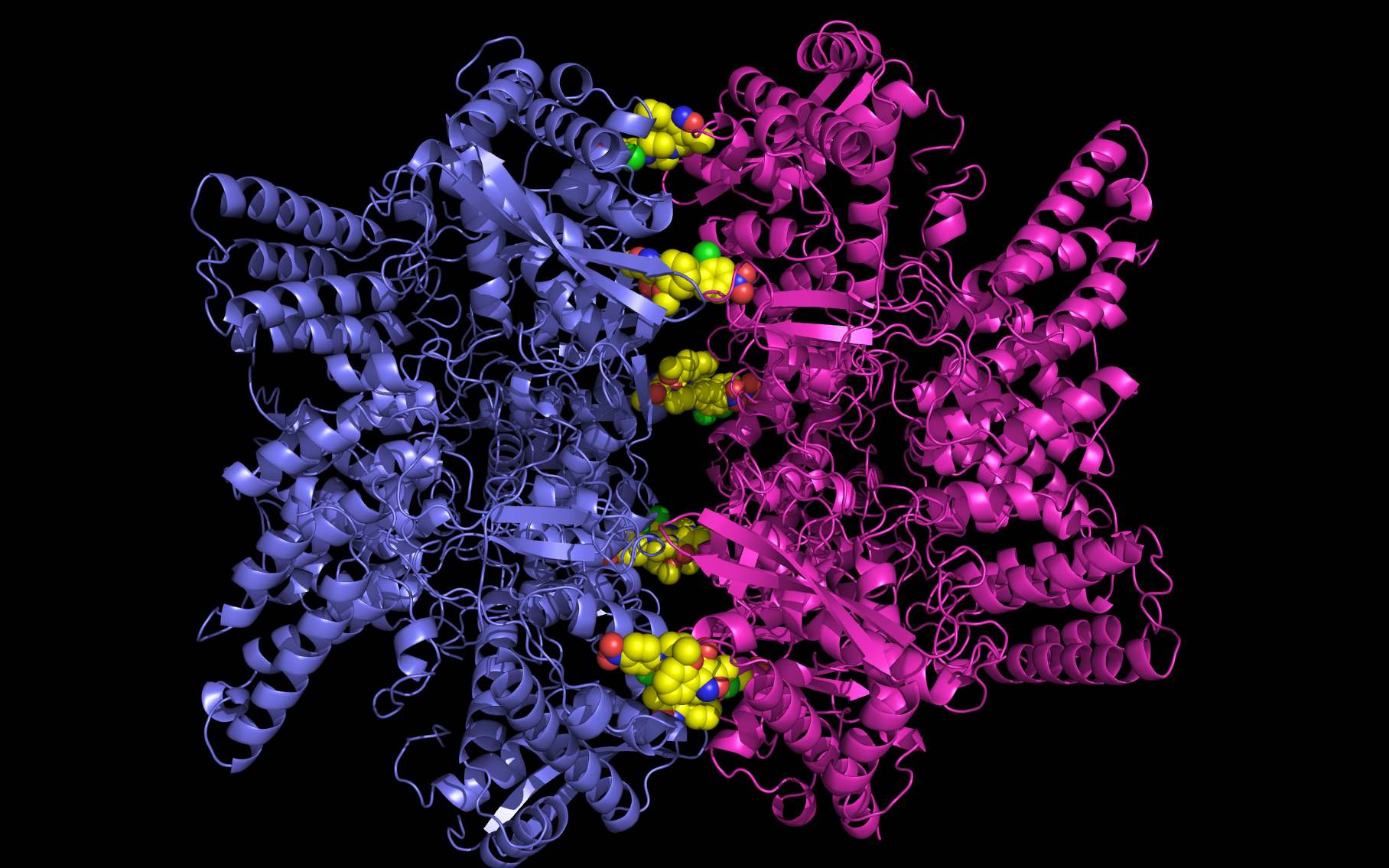 npalt3