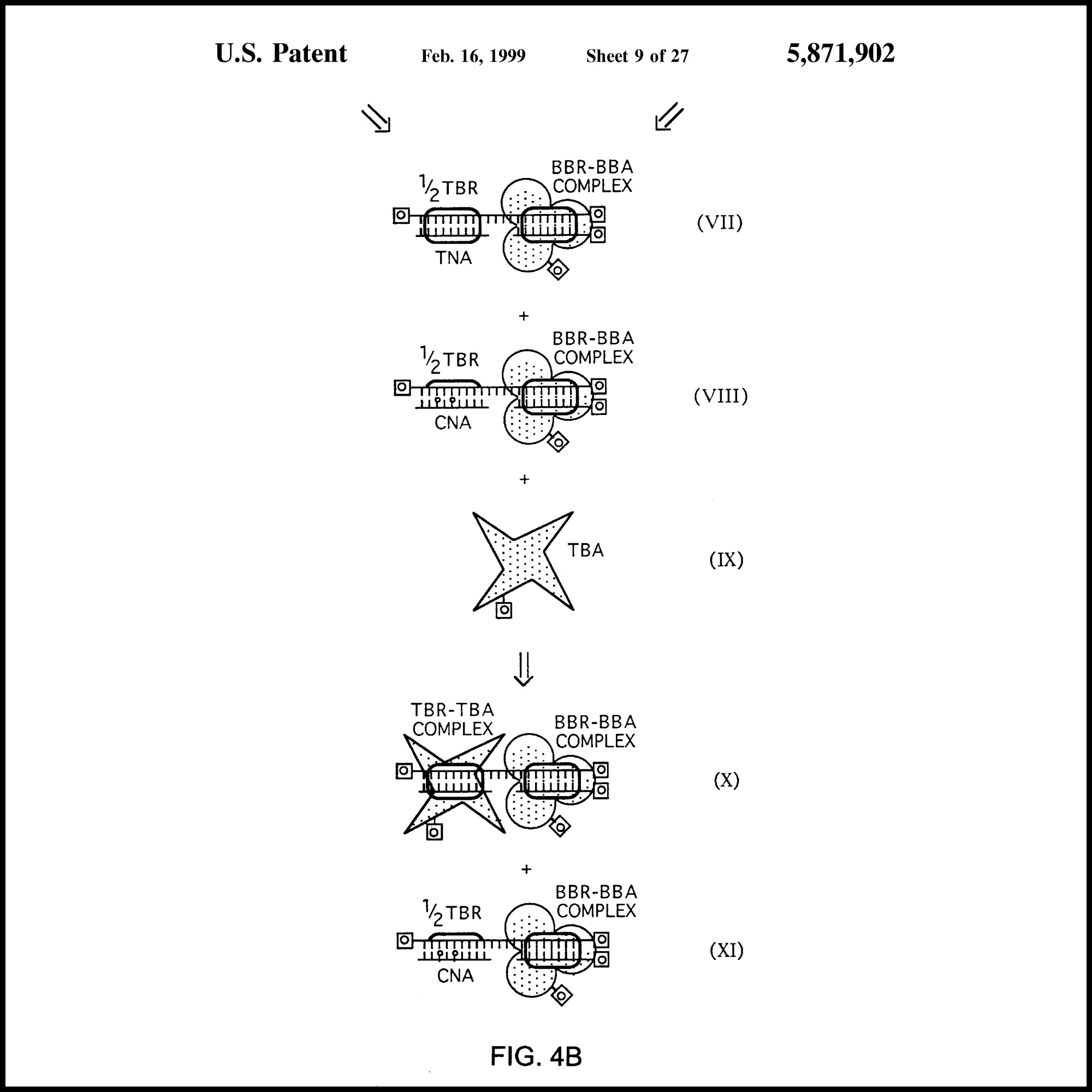 United States Issued Patent #5871902 for Detection with Molecular Locks