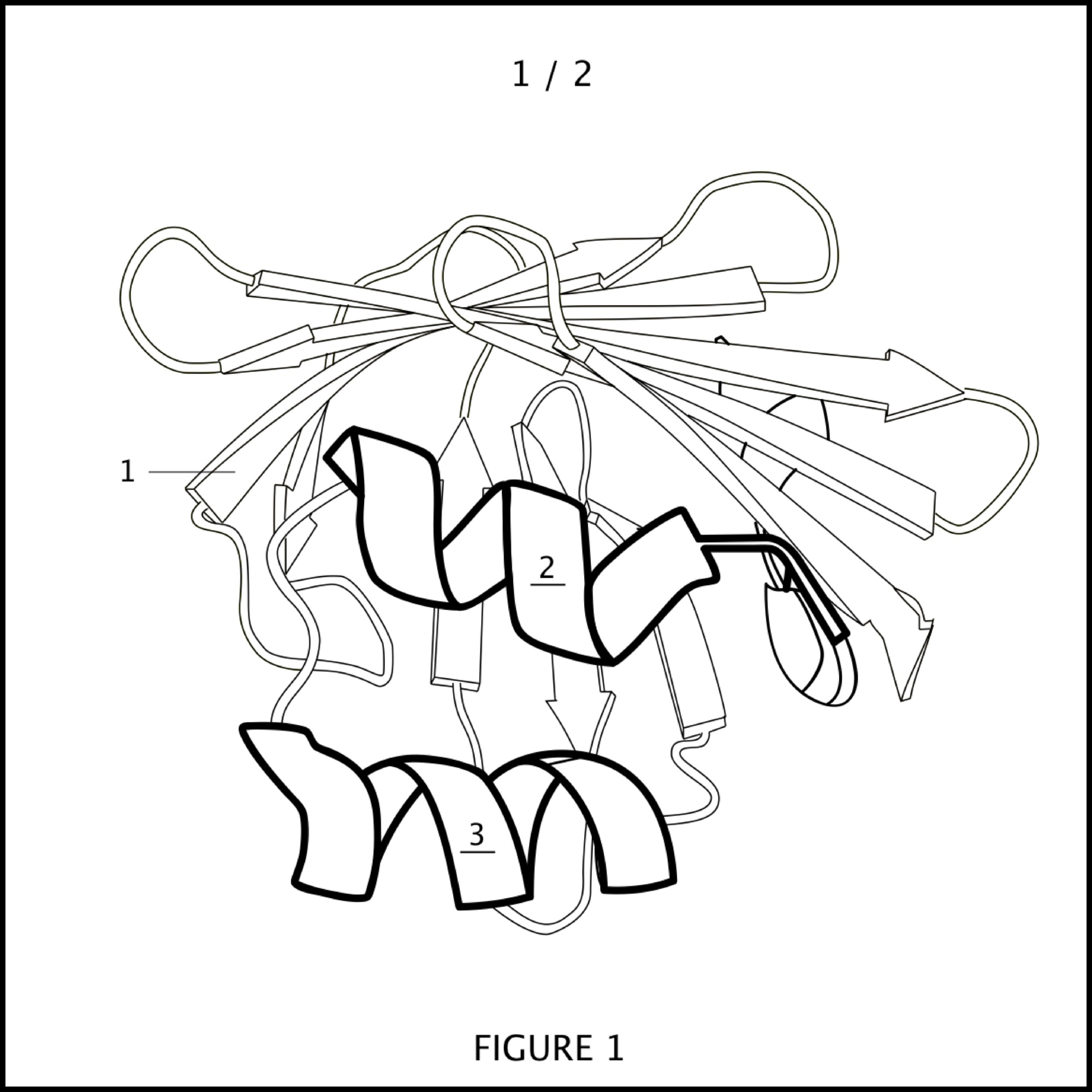 Israel Patent Application #235702 for MS-BLOCK