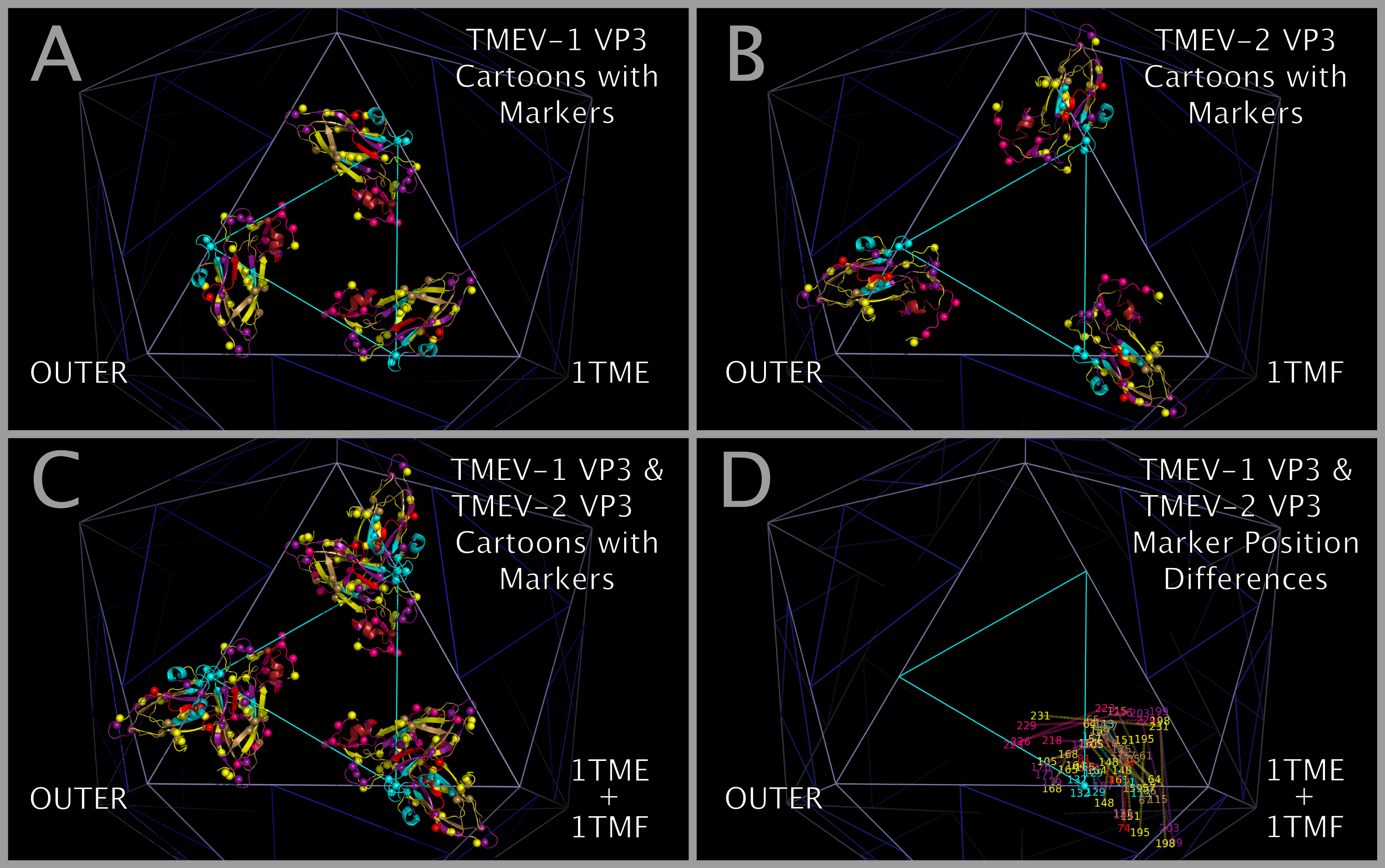 VP3 Protein Beta Sheets Circling The Pentamer Interface Form The Base Of A Diaphragm Shutter-like Pore