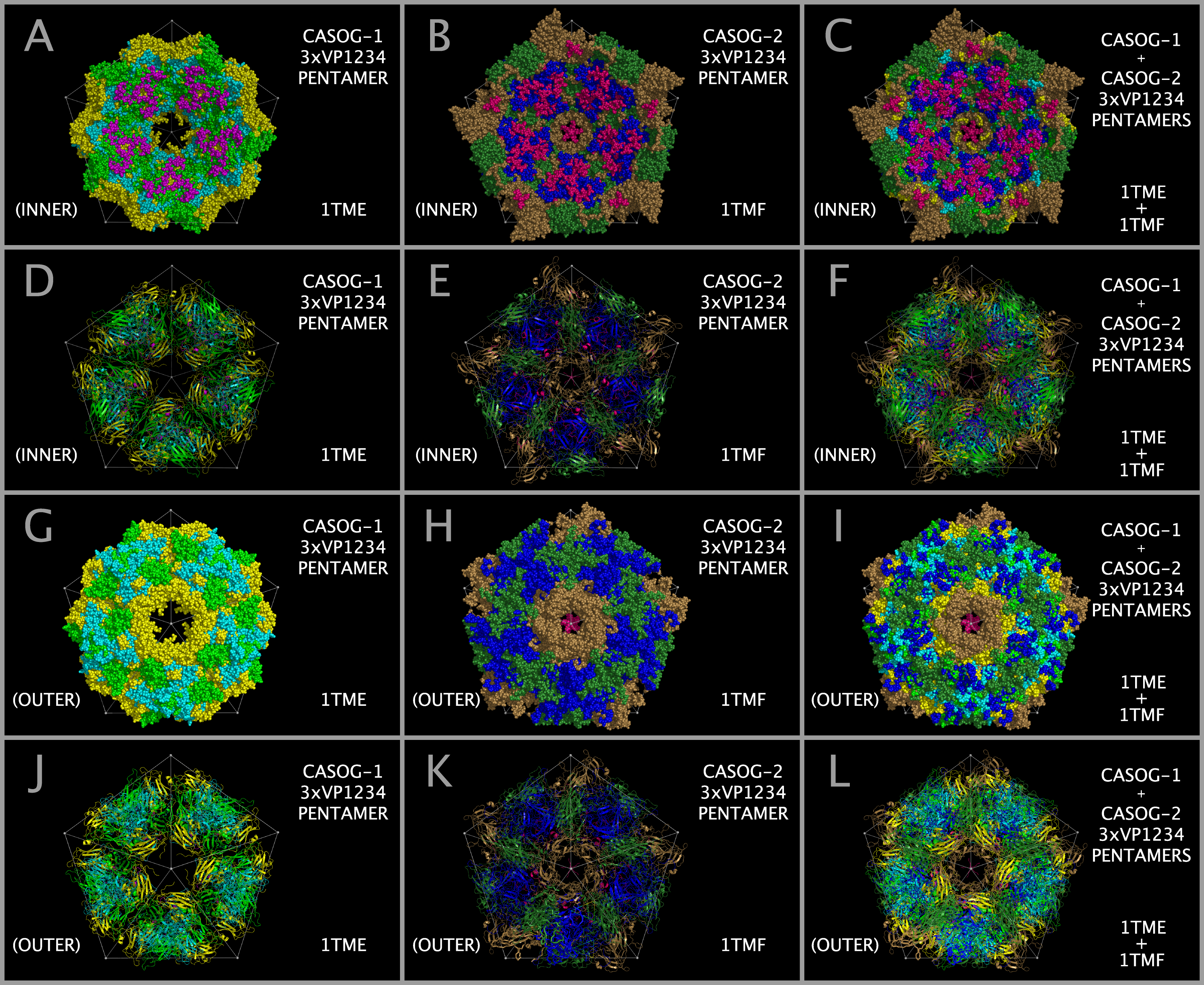 CASOG-1 and CASOG-2 vertex comparison.