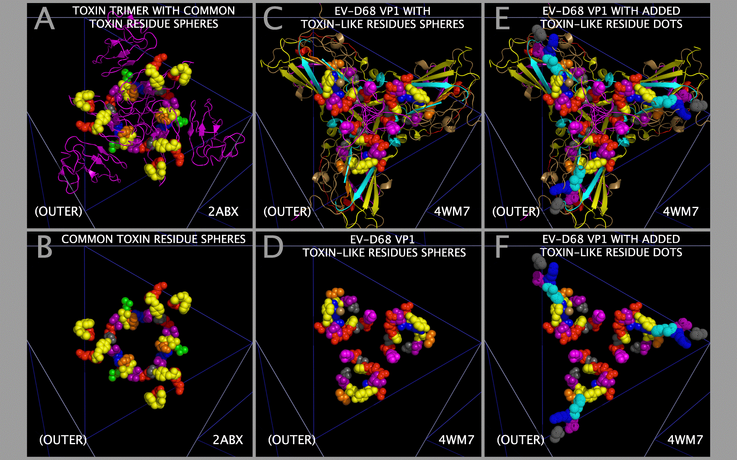 Alpha-bungarotoxin Loops and Picornaviruses