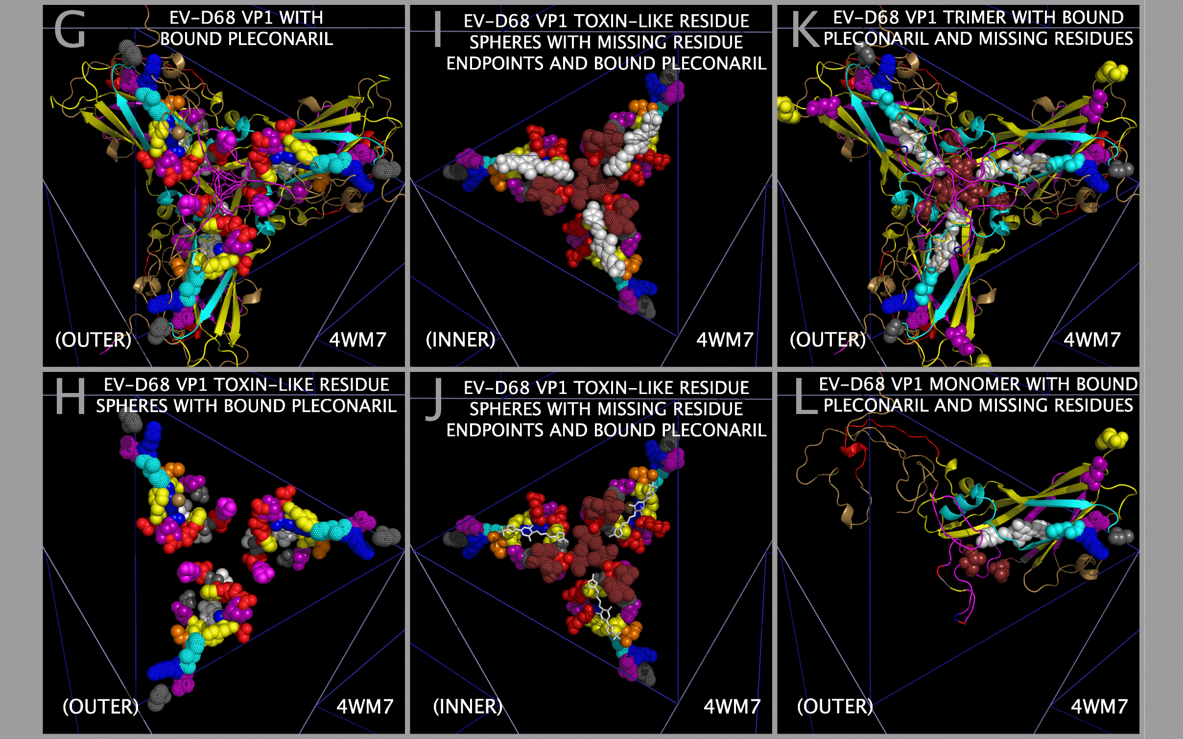EV-D68 and bound Pleconaril