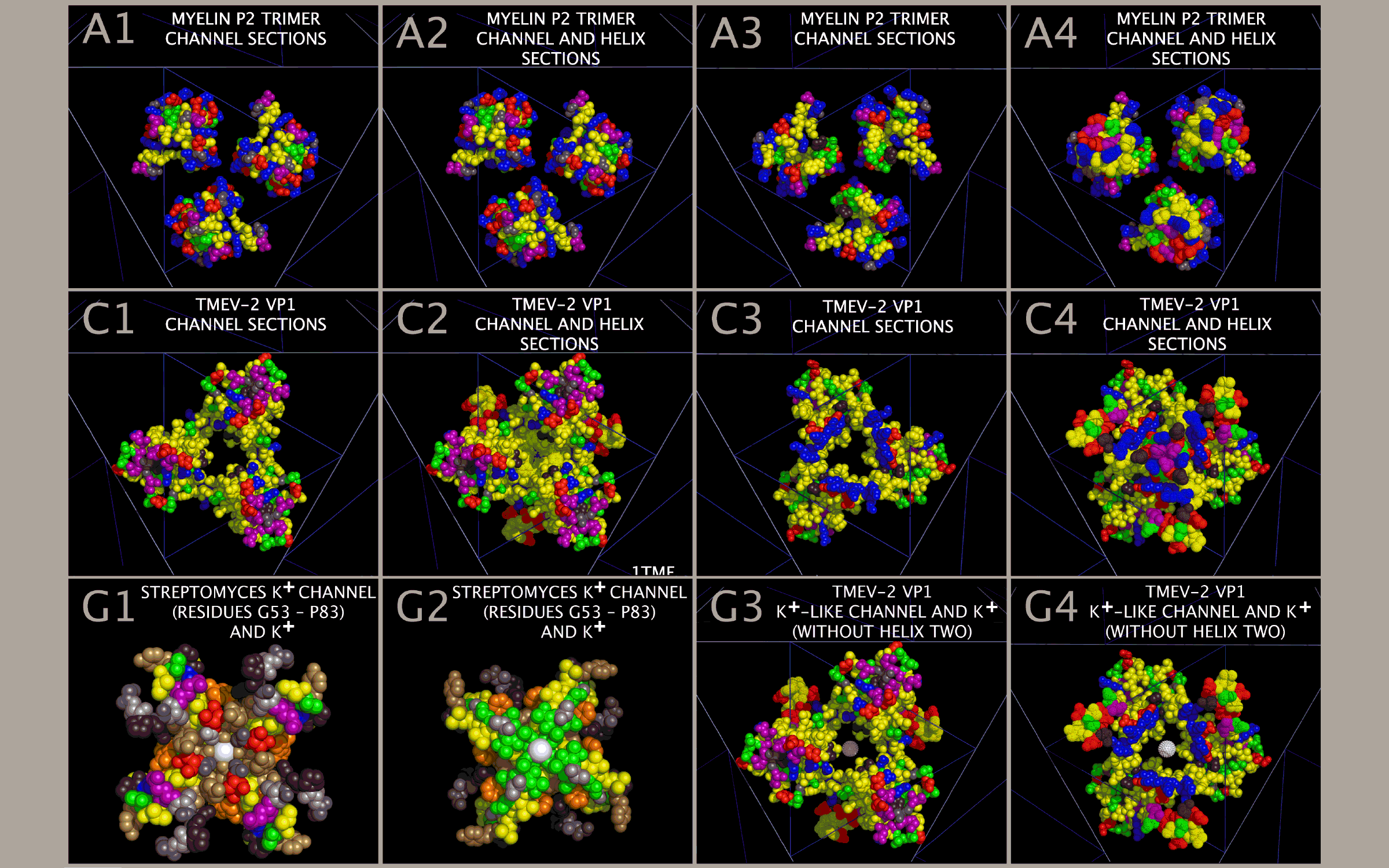 Ion Channels in Picornavirus capsid face