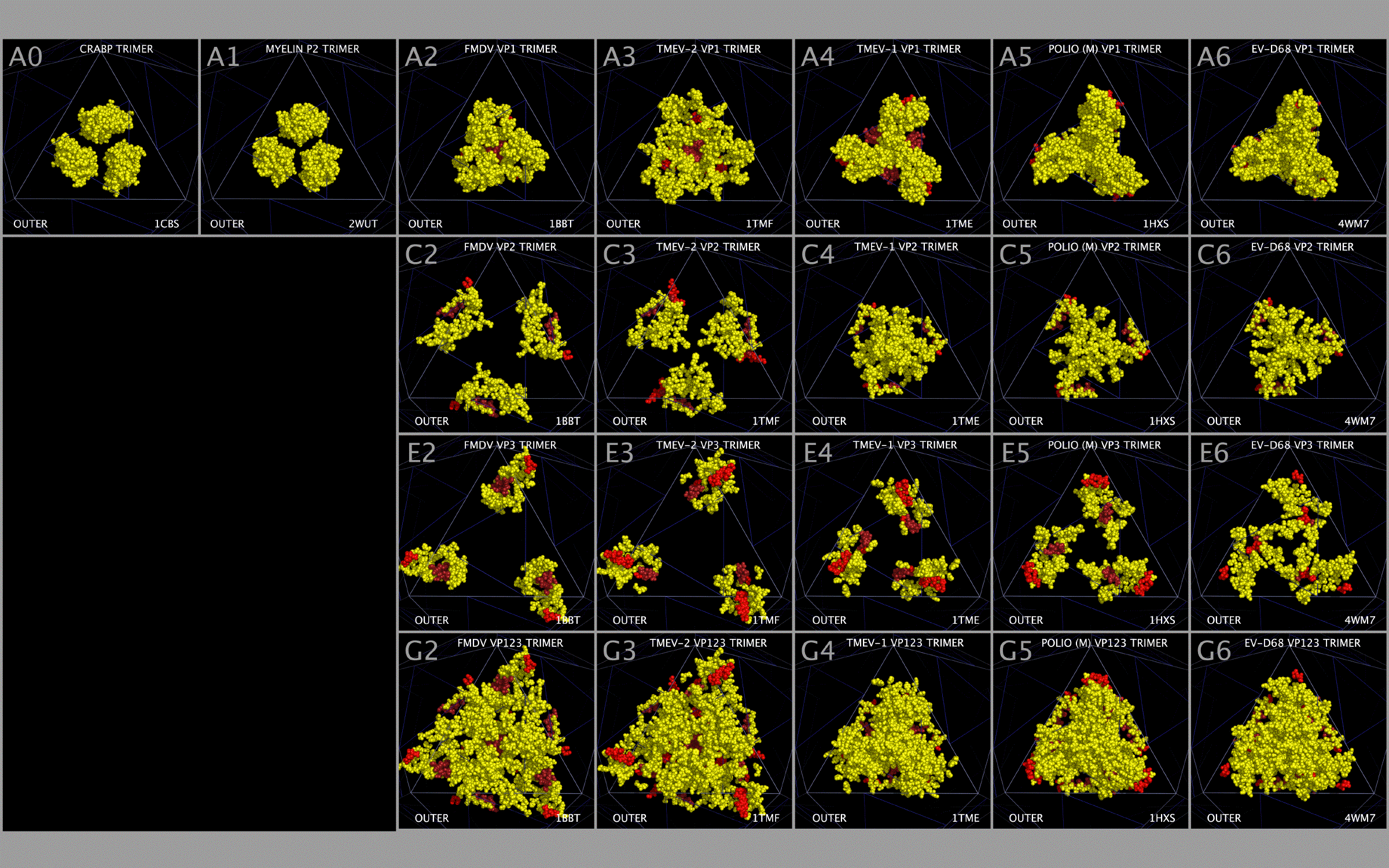 Ion Channel Gating in Picornaviruses