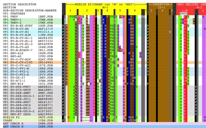 Aligning Picornavirus capsid proteins with CRABP, Alpha-bungarotoxin, and Myelin P2 Helices