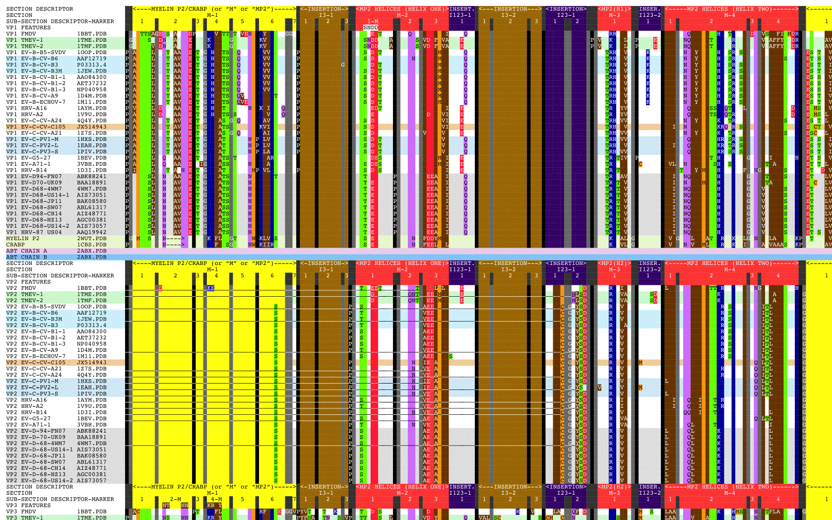 Aligning Picornavirus capsid proteins with CRABP, Alpha-bungarotoxin, and Myelin P2 Helices
