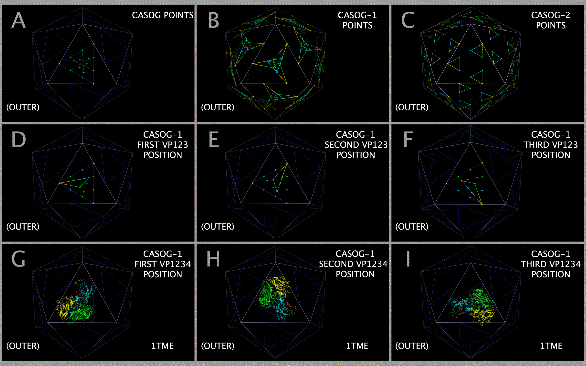 Picornavirus Capsid Tile Construction