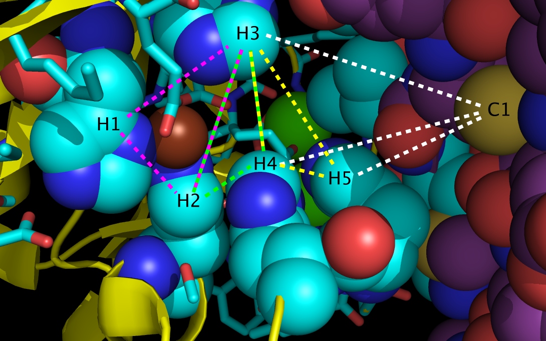 Sonic Hedgehog/Glycoprotein Molecular Switch