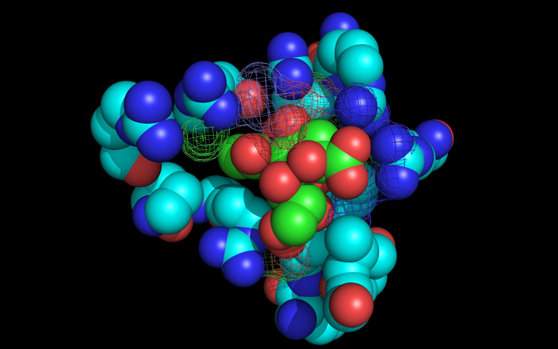 divergent neuraminidase binding site