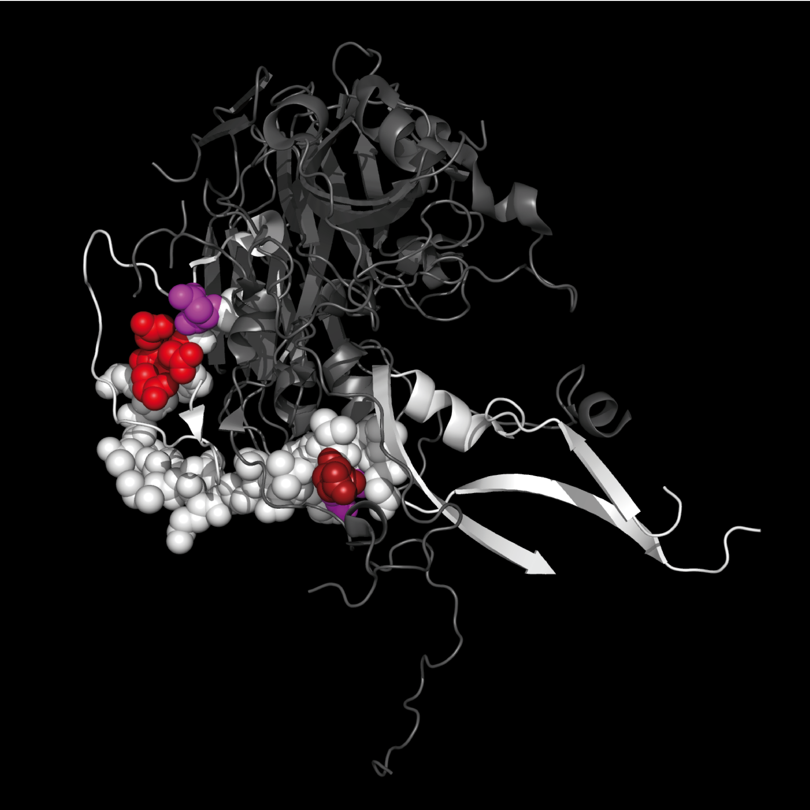EV-D68 crystal structure from 4WM7