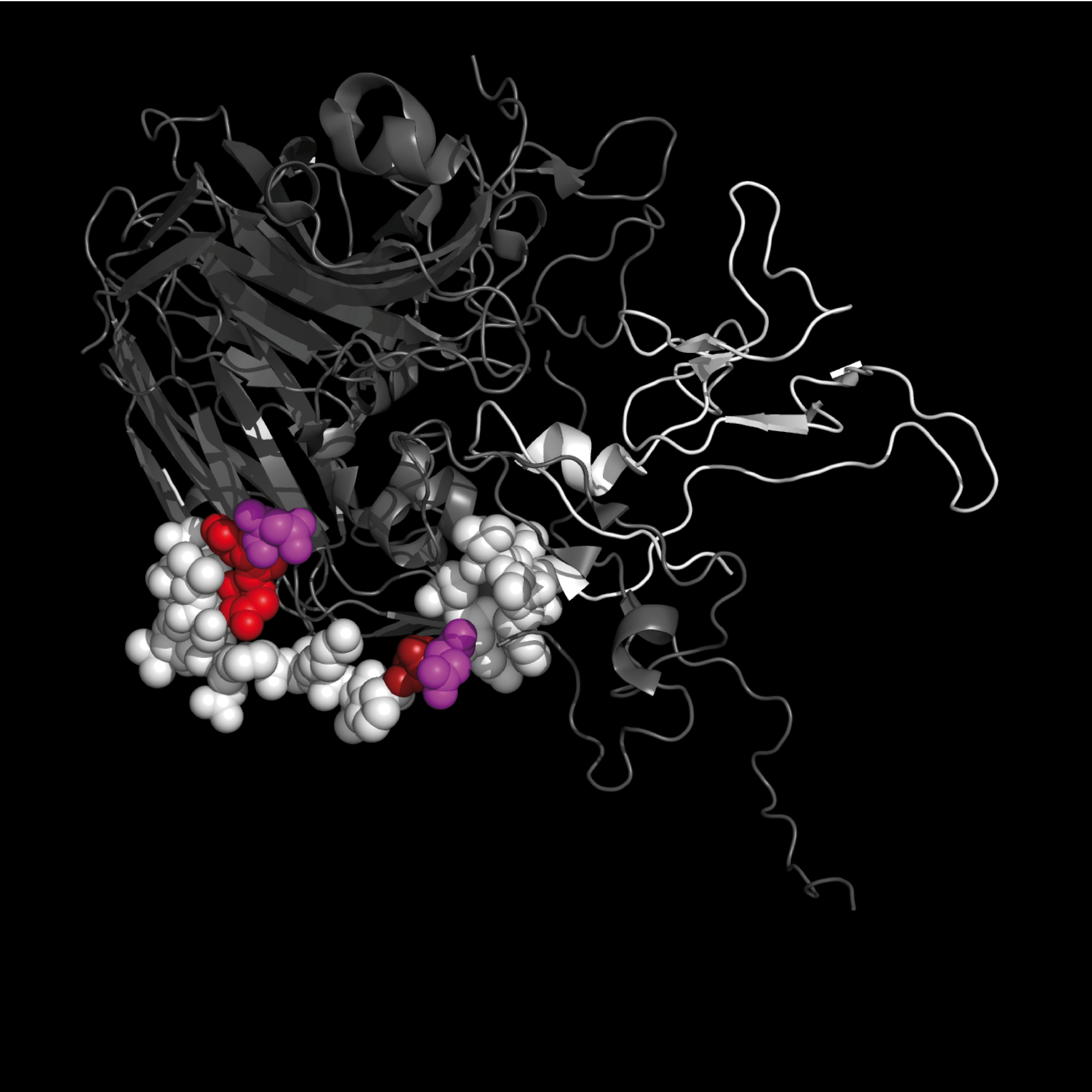 TMEV crystal structure from <code>1</code>TME