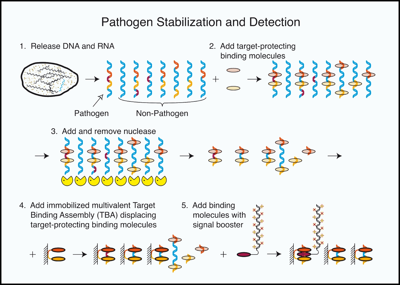 weiningerworks.com Molecular Lock detection
