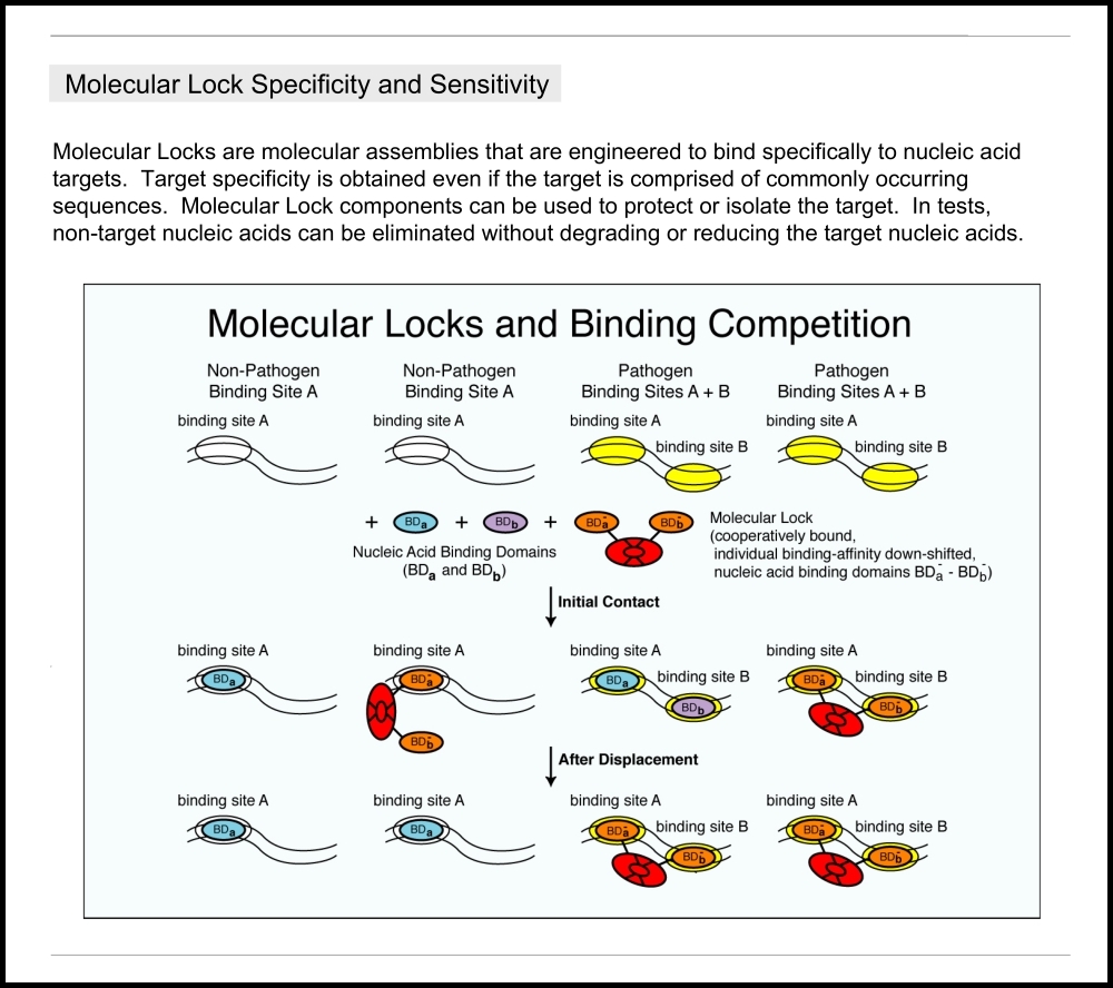 weiningerworks.com Molecular Locks page